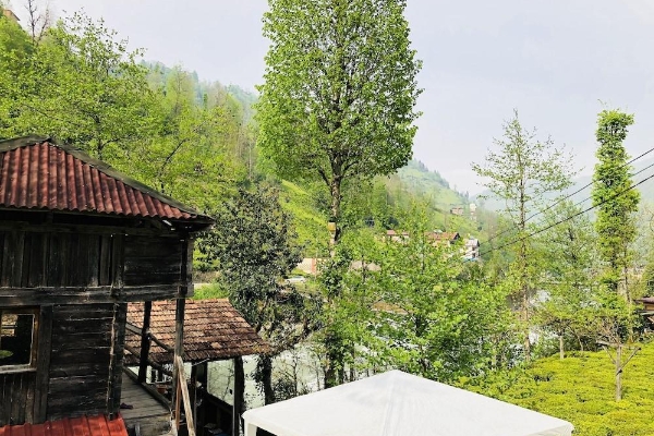 Hotel Tabiat Bungalows